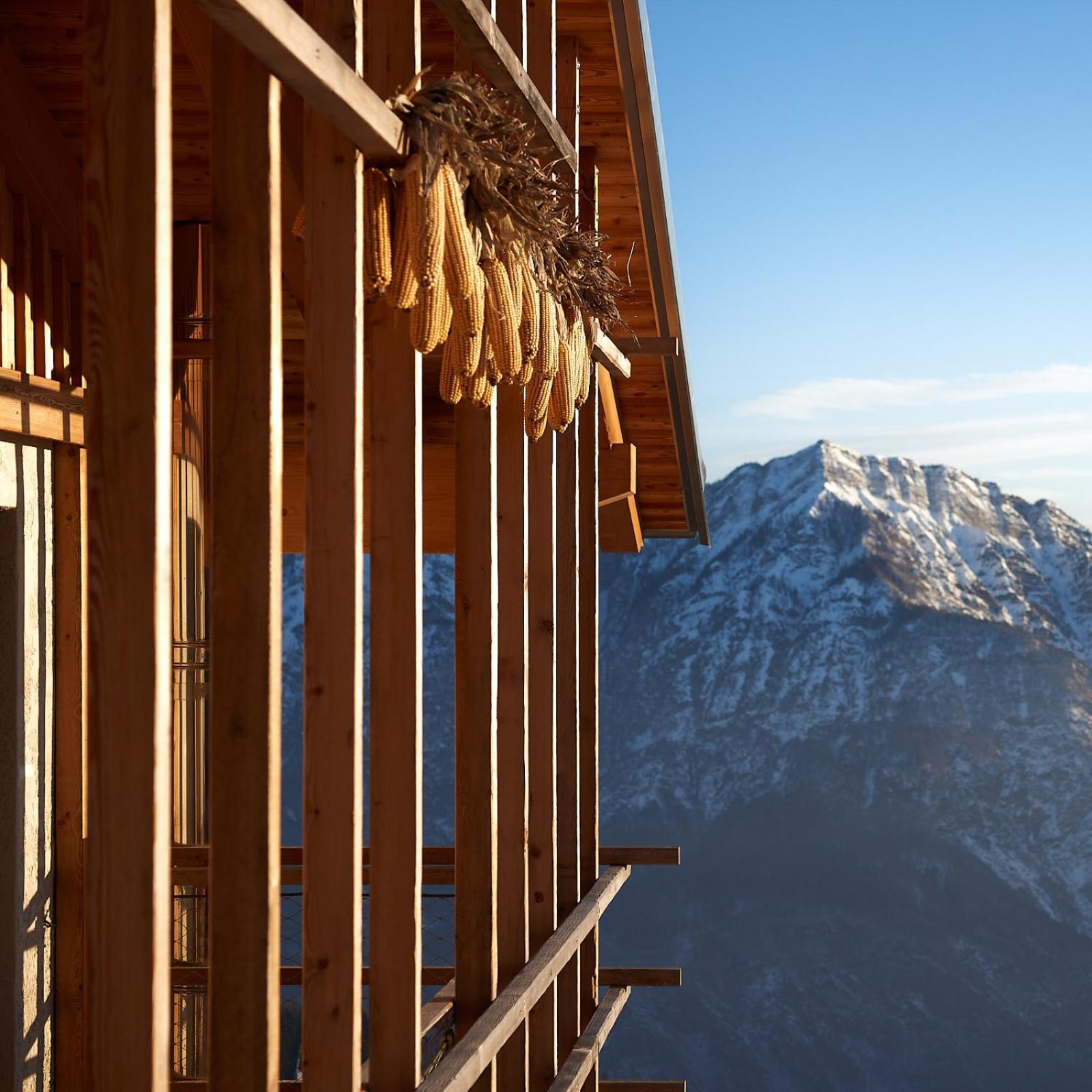 Nif: Alpine Taste Levico Terme Exterior foto